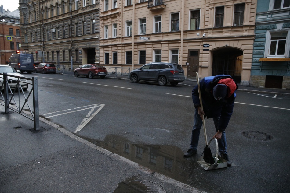 Петербуржец получил 230 часов работ за выброшенного из окна кота Бубу